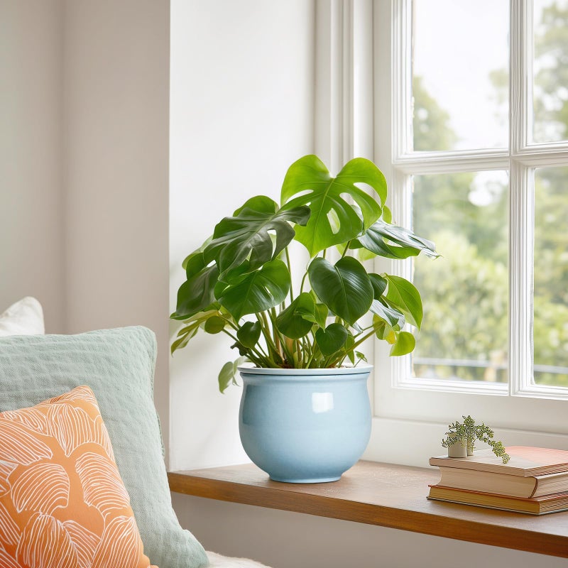 Teagas Ceramic African Violet Pots for Indoor Plants, 6 Inch Self Watering Planters with Absorbent Inner Pot, Self Watering Plant Pot, Ceramic Flower Pots, Desk Decor, Housewarming Gifts, Light Blue - Image 4
