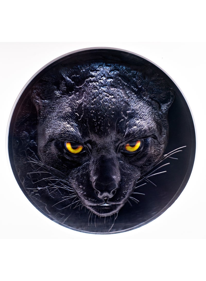 Silver Palau 2025 $50 Silver 1 kg - Hunters by Night: Ocelot, Black Proof, NGC PF 70 First Releases - Image 5