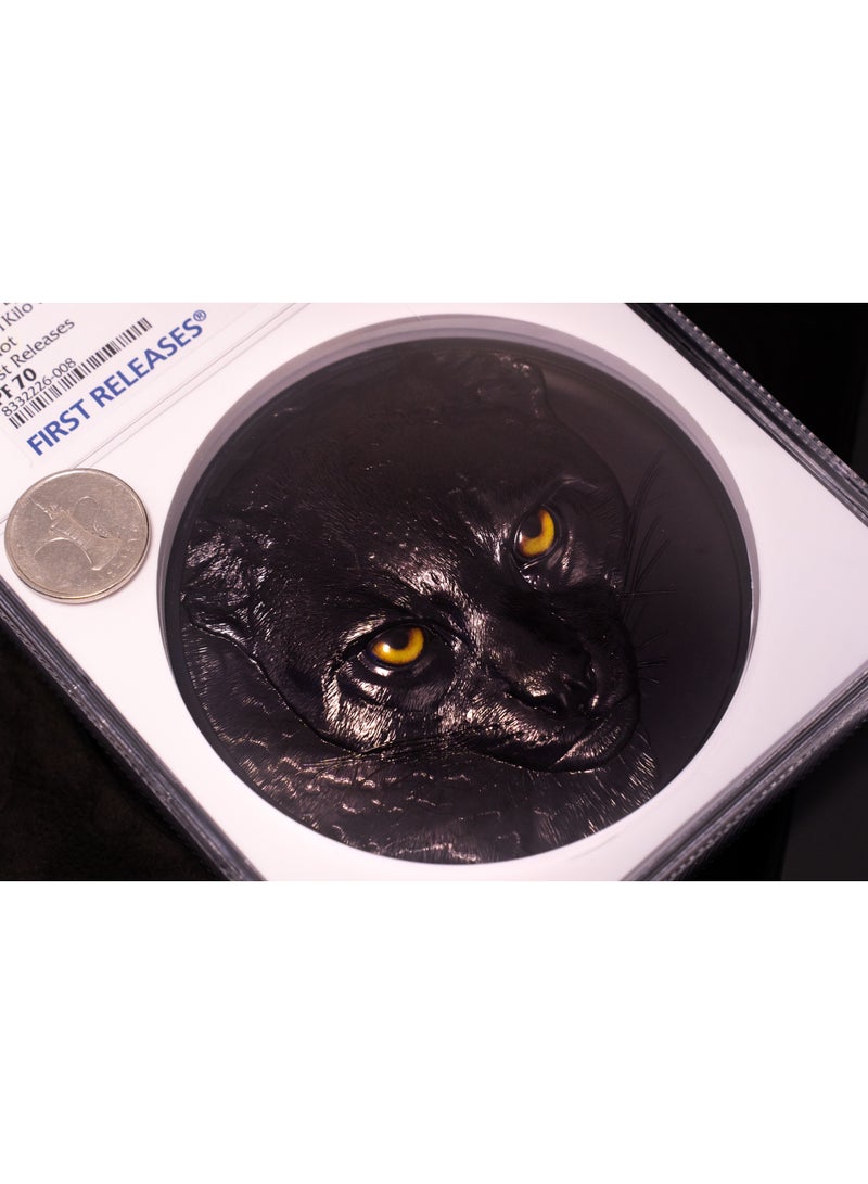 Silver Palau 2025 $50 Silver 1 kg - Hunters by Night: Ocelot, Black Proof, NGC PF 70 First Releases - Image 3