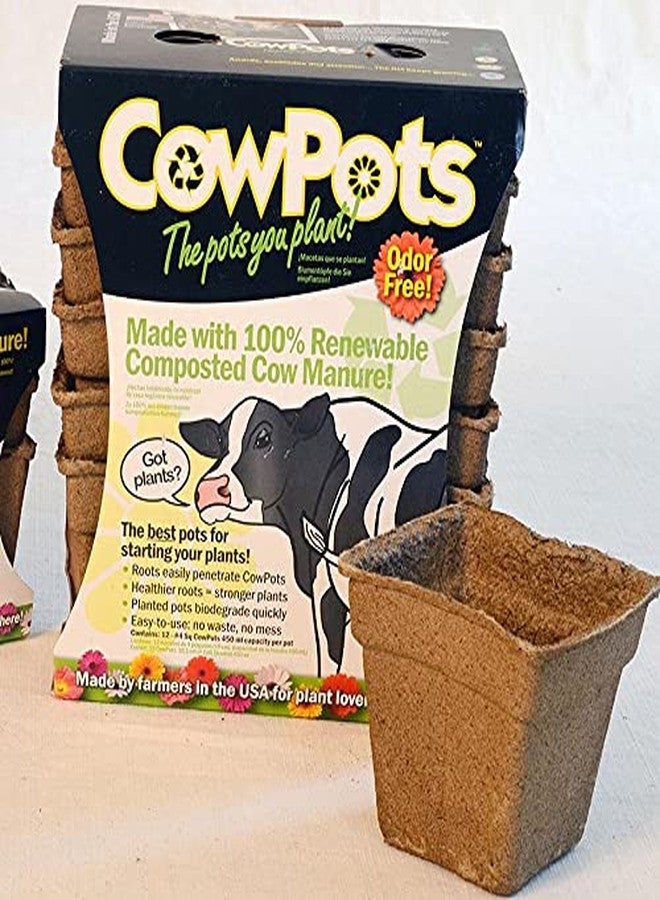 أوعية زراعة شتلات النباتات من CowPots، مربعة الشكل، بارتفاع 4 بوصات، غنية بالنيتروجين، عبوة من 12 - Image 1