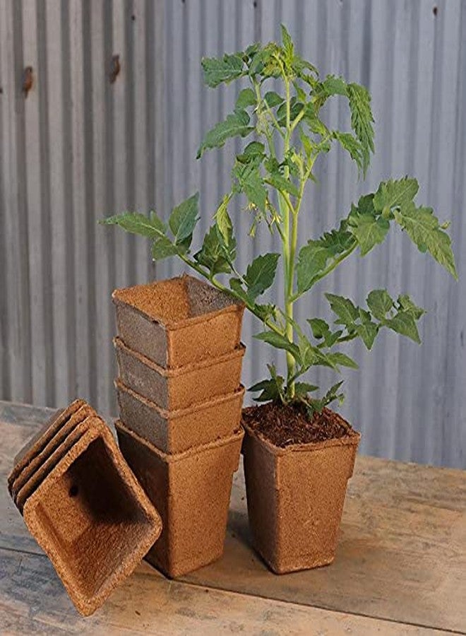 أوعية زراعة شتلات النباتات من CowPots، مربعة الشكل، بارتفاع 4 بوصات، غنية بالنيتروجين، عبوة من 12 - Image 2