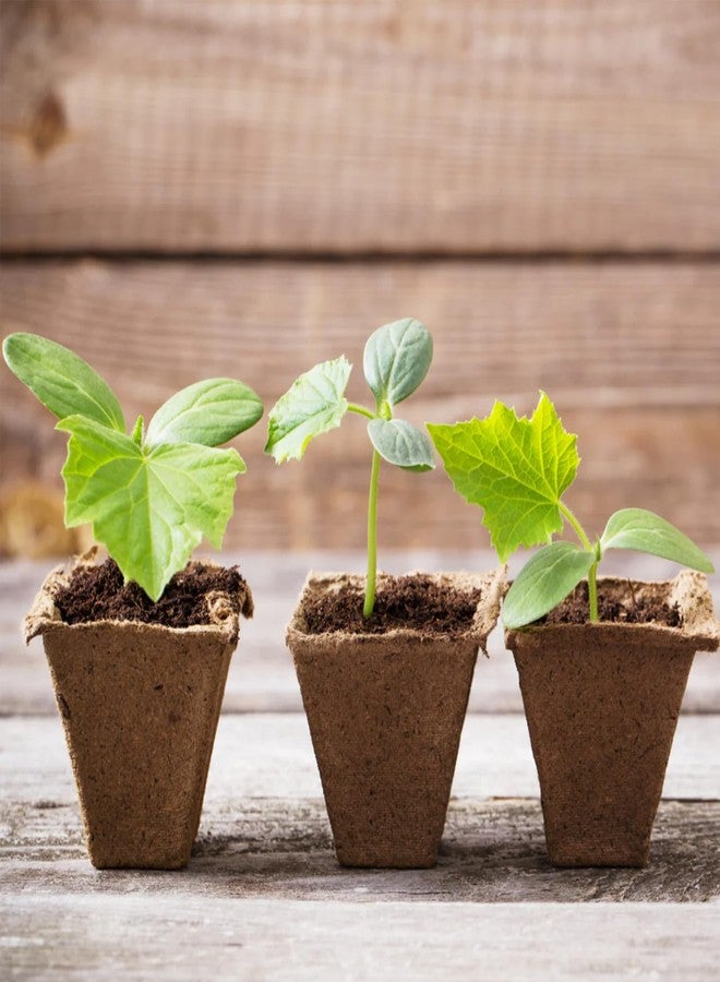 أوعية زراعة شتلات النباتات من CowPots، مربعة الشكل، بارتفاع 4 بوصات، غنية بالنيتروجين، عبوة من 12 - Image 4