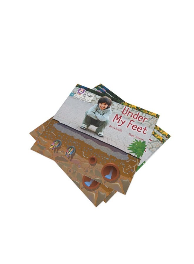 Under my Feet: Phase 3 Set 1 - Image 5