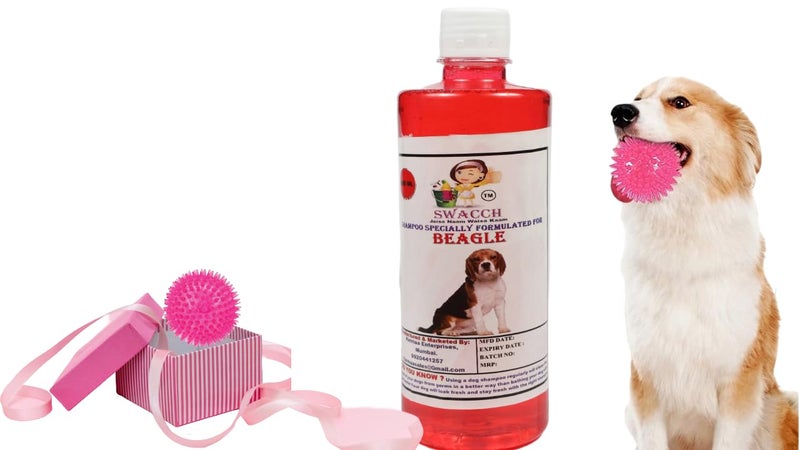 swacch Shampoo | Puppy Safe Shampoo | PH Balanced | Ditch to Itch for Beagle Dog Shampoo 500ml (Strawberry) + Spike Ball Chew Toy Combo Pack - Image 1