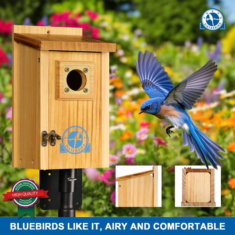 SISTERBIRD Pack of 2 Premium Bluebird Houses for Outside, Assembled Bird House Gift, Garden Decoration Bluebird House, Copper Predator Guard, Easy to Clean Bird Nesting - Image 2