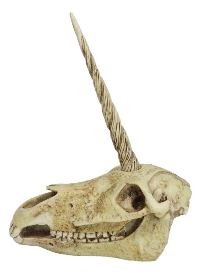 Ebros Gift Ebros Ancient Fossil Unicorn Skull Statue Rare Mythical Creature Skeleton Model Great Gift for Archaeologists Excavation Adventurers and Collectors - Image 5