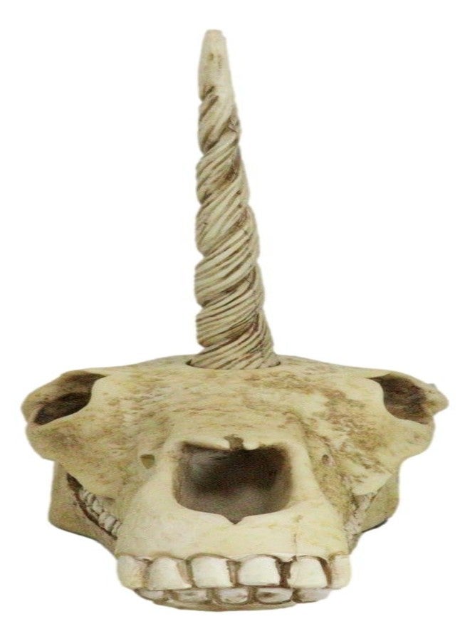 Ebros Gift Ebros Ancient Fossil Unicorn Skull Statue Rare Mythical Creature Skeleton Model Great Gift for Archaeologists Excavation Adventurers and Collectors - Image 2