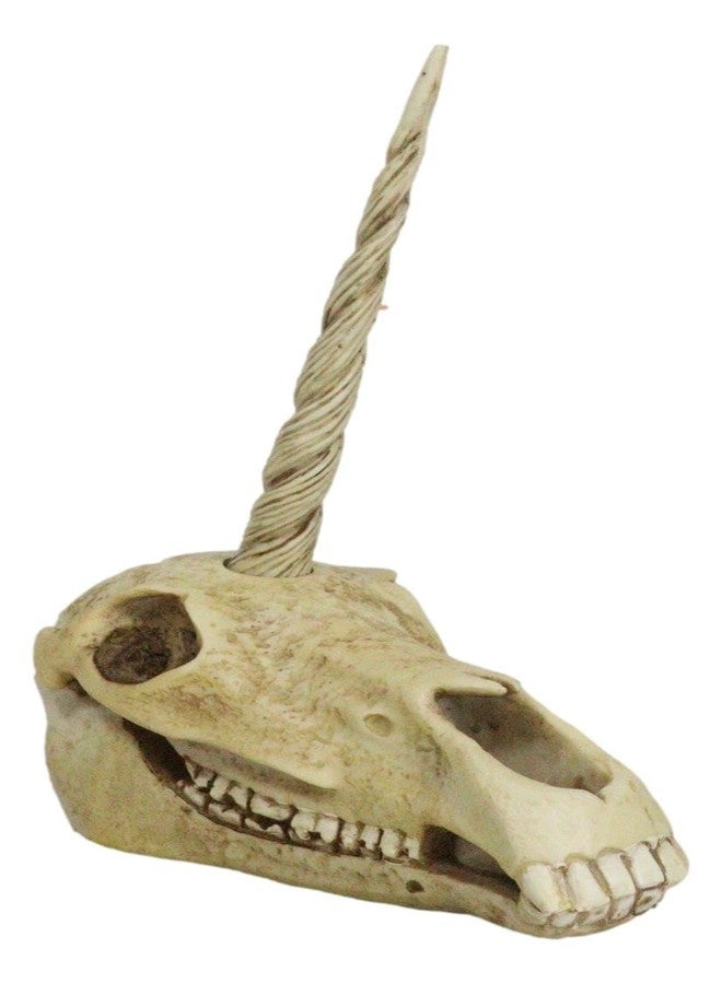 Ebros Gift Ebros Ancient Fossil Unicorn Skull Statue Rare Mythical Creature Skeleton Model Great Gift for Archaeologists Excavation Adventurers and Collectors - Image 1