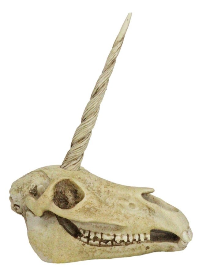 Ebros Gift Ebros Ancient Fossil Unicorn Skull Statue Rare Mythical Creature Skeleton Model Great Gift for Archaeologists Excavation Adventurers and Collectors - Image 3
