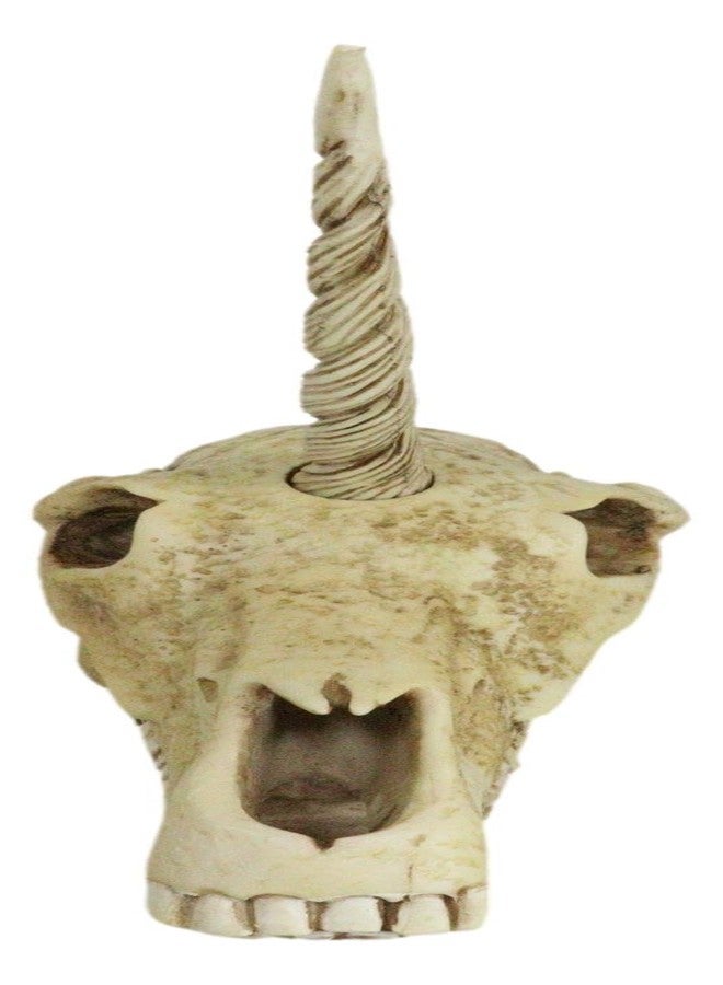 Ebros Gift Ebros Ancient Fossil Unicorn Skull Statue Rare Mythical Creature Skeleton Model Great Gift for Archaeologists Excavation Adventurers and Collectors - Image 4
