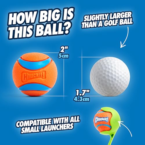 Chuckit! Ultra Ball Dog Toy, Balls for Dogs to Fetch, Durable Rubber, Small 2-inch, Pack of 2 - Image 2