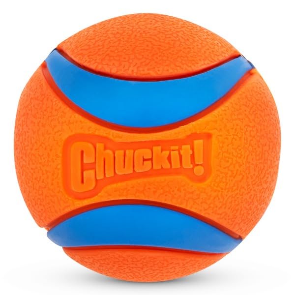 Chuckit! Ultra Ball Dog Toy, Balls for Dogs to Fetch, Durable Rubber, Small 2-inch, Pack of 2 - Image 4