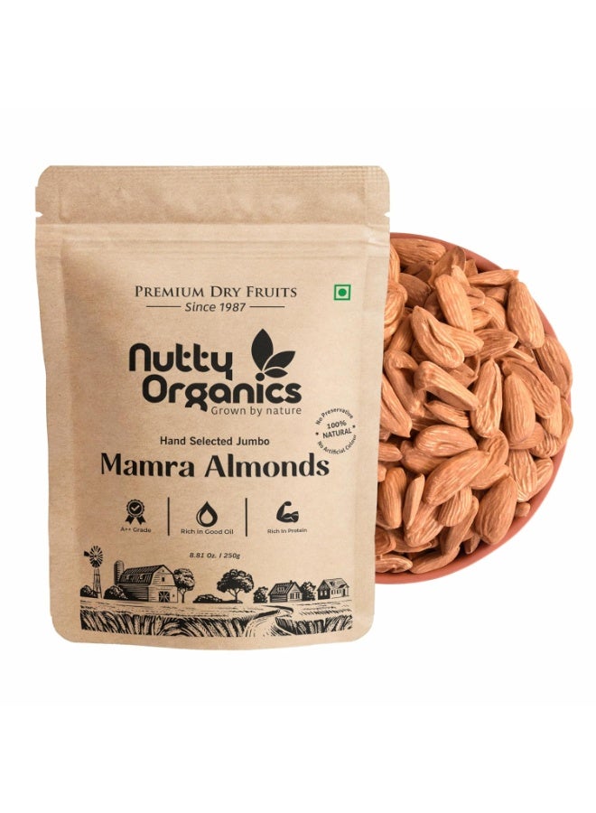 Nutty Almonds Mamra - 250G (Grade A ++ Nuts, Premium, Rich In Oil) Richest Natural Source of Vitamins, Magnesium & Protien | Special Mamra Badam Giri - Image 1