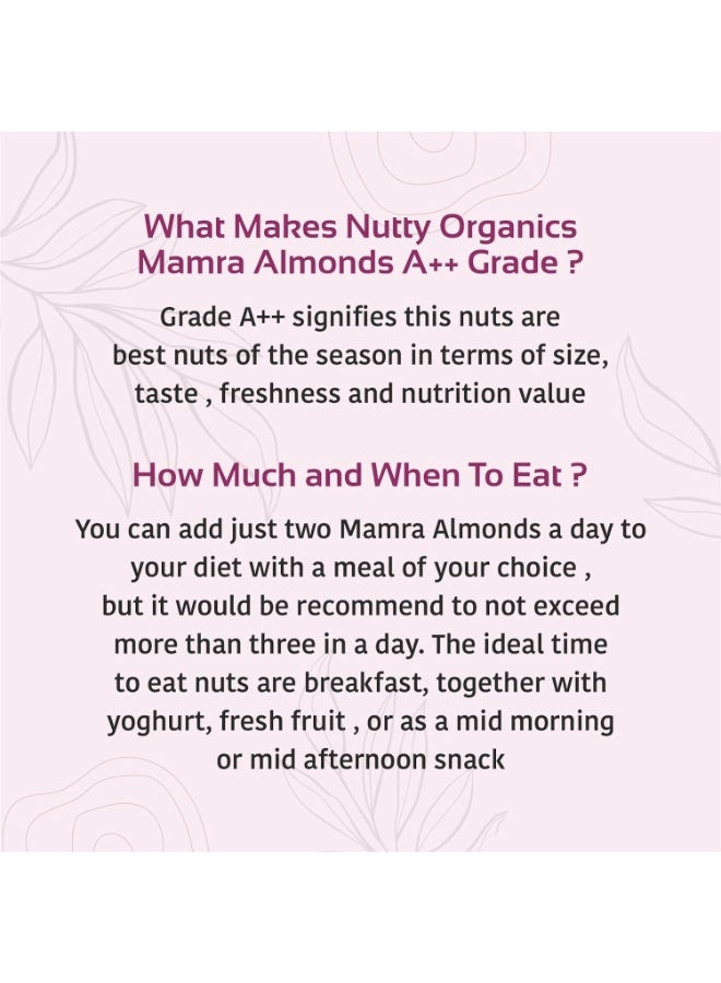 Nutty Almonds Mamra - 250G (Grade A ++ Nuts, Premium, Rich In Oil) Richest Natural Source of Vitamins, Magnesium & Protien | Special Mamra Badam Giri - Image 5
