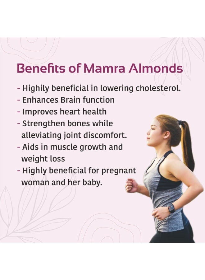 Nutty Almonds Mamra - 250G (Grade A ++ Nuts, Premium, Rich In Oil) Richest Natural Source of Vitamins, Magnesium & Protien | Special Mamra Badam Giri - Image 4