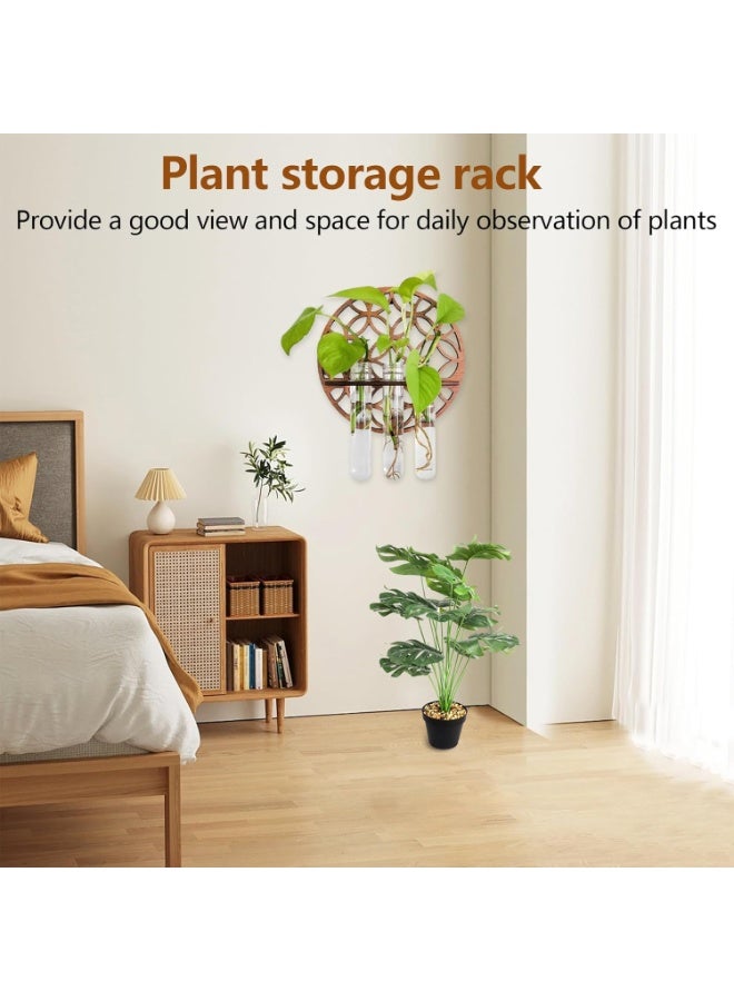 Arabest Hanging Plant Vase - Wooden Wall Propagation Station with Clear Test Tubes, Hydroponic Holder for Cuttings, Indoor Home Office Garden Decoration - Image 5