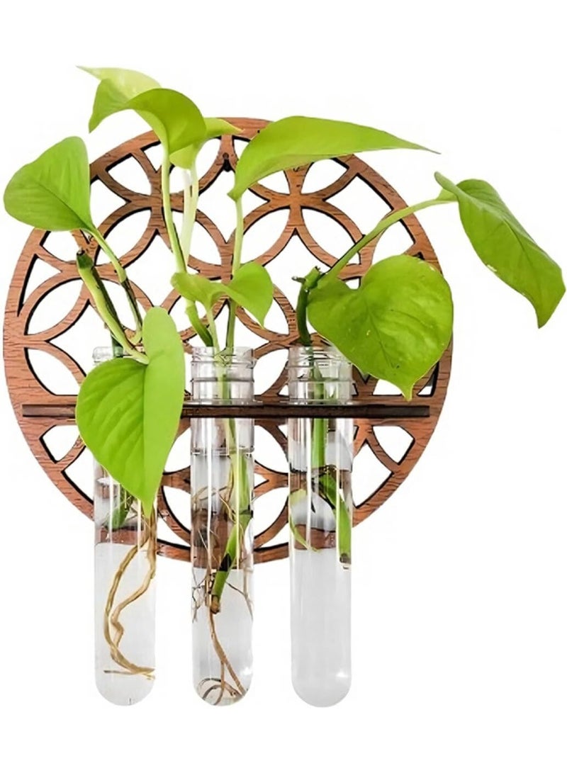 Arabest Hanging Plant Vase - Wooden Wall Propagation Station with Clear Test Tubes, Hydroponic Holder for Cuttings, Indoor Home Office Garden Decoration - Image 1