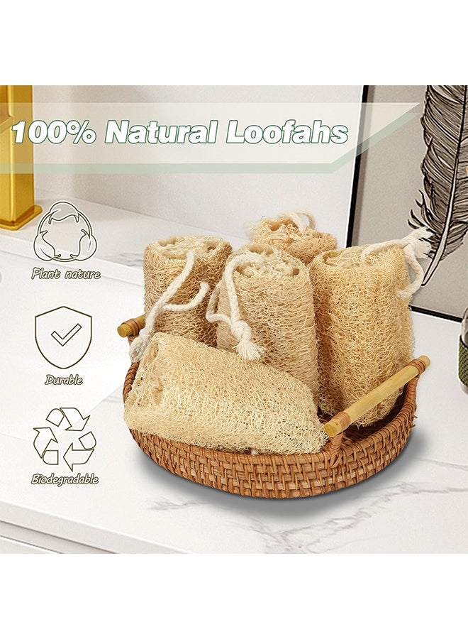 إسفنج لوفاه طبيعي عضوي للمنتجع الصحي، مجموعة من 3 لإزالة الجلد الميت وتنعيم البشرة، لوفاه للاستحمام للجسم للنساء والرجال، وكاشط للجسم، وغسل الصحون - Image 4