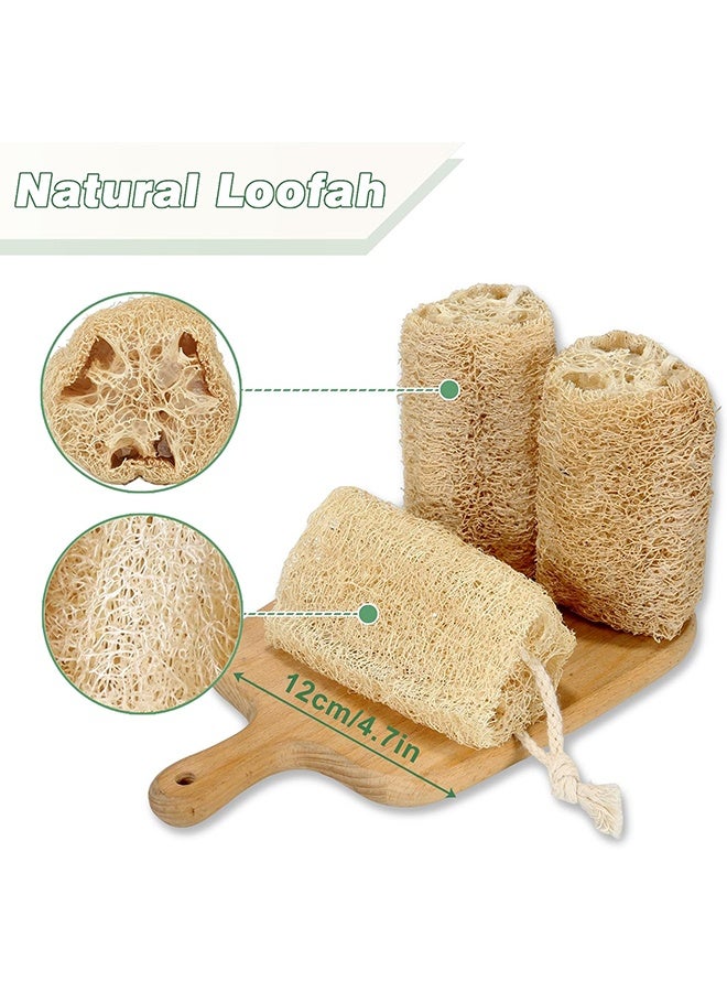 إسفنج لوفاه طبيعي عضوي للمنتجع الصحي، مجموعة من 3 لإزالة الجلد الميت وتنعيم البشرة، لوفاه للاستحمام للجسم للنساء والرجال، وكاشط للجسم، وغسل الصحون - Image 2