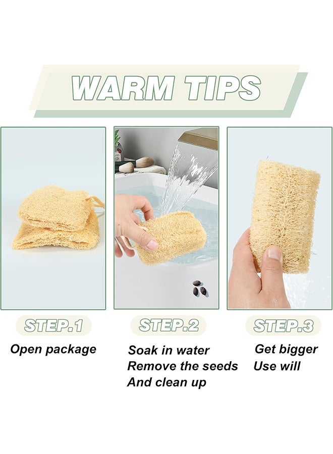 إسفنج لوفاه طبيعي عضوي للمنتجع الصحي، مجموعة من 3 لإزالة الجلد الميت وتنعيم البشرة، لوفاه للاستحمام للجسم للنساء والرجال، وكاشط للجسم، وغسل الصحون - Image 5