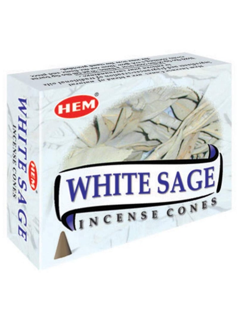 White Sage Incense Cones Pack of 10