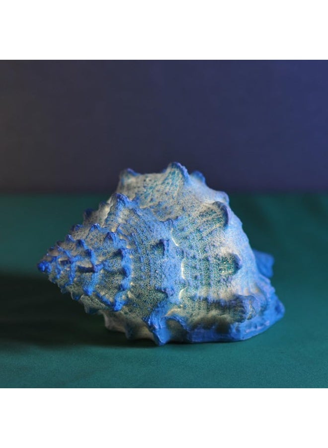 YINZUO YINZUO Conch Shell Night Light Battery Operated Resin Beach Lamp LED Nautical Lighting for Bedroom, Kids Room, Nightstand  - Image 1