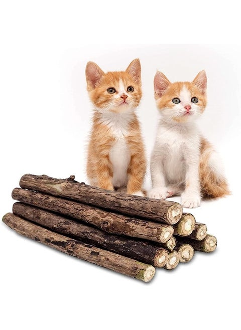 Mumoo Bear Catnip Toys for Cats, 20 Pcs Natural Matatabi Chew Stick, Silvervine Catnip Sticks for Cats, Kitten Cat Nip Toy for Cat Teeth Cleaning Cat Dental Care