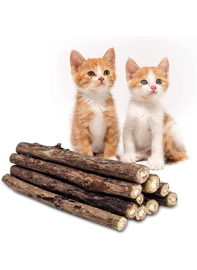 Mumoo Bear Catnip Toys for Cats, 20 Pcs Natural Matatabi Chew Stick, Silvervine Catnip Sticks for Cats, Kitten Cat Nip Toy for Cat Teeth Cleaning Cat Dental Care
