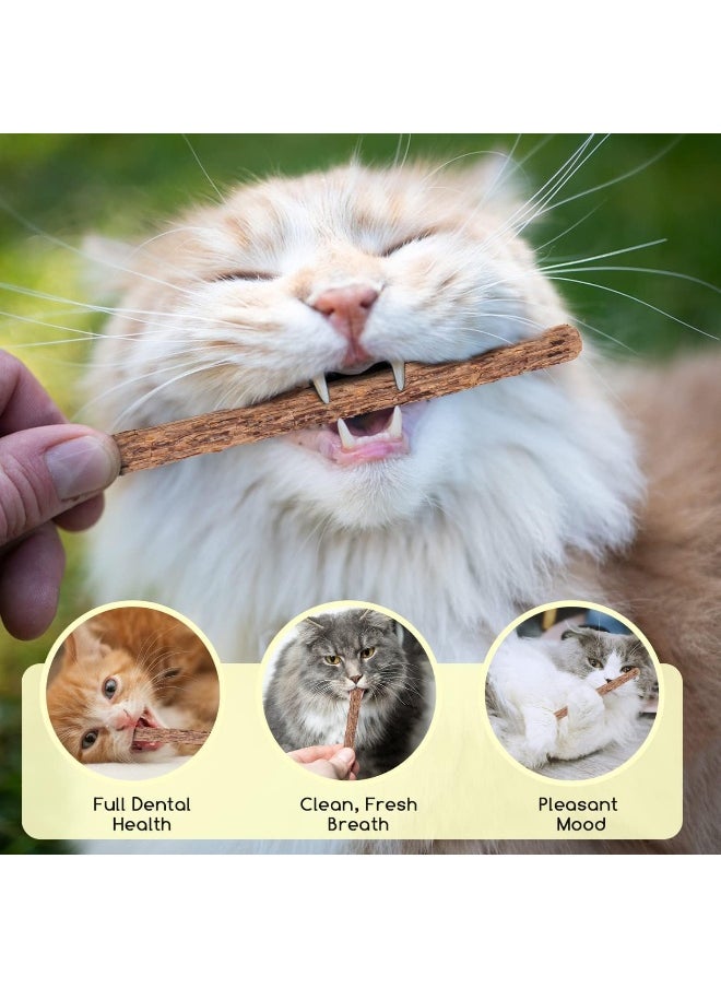 Mumoo Bear Catnip Toys for Cats, 20 Pcs Natural Matatabi Chew Stick, Silvervine Catnip Sticks for Cats, Kitten Cat Nip Toy for Cat Teeth Cleaning Cat Dental Care