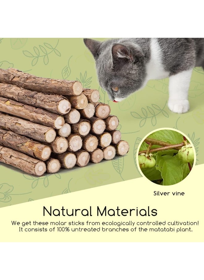 Mumoo Bear Catnip Toys for Cats, 20 Pcs Natural Matatabi Chew Stick, Silvervine Catnip Sticks for Cats, Kitten Cat Nip Toy for Cat Teeth Cleaning Cat Dental Care
