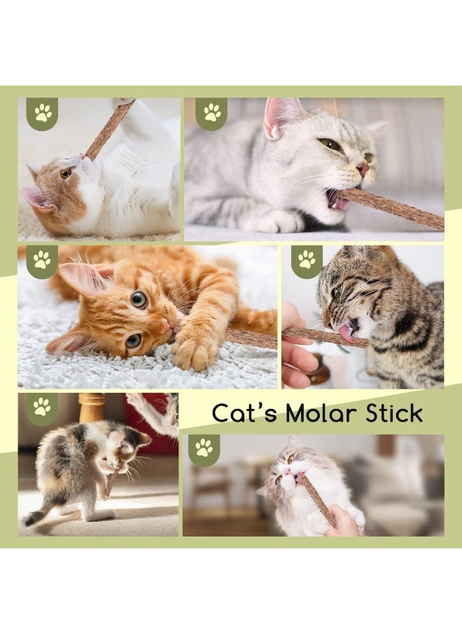 Mumoo Bear Catnip Toys for Cats, 20 Pcs Natural Matatabi Chew Stick, Silvervine Catnip Sticks for Cats, Kitten Cat Nip Toy for Cat Teeth Cleaning Cat Dental Care