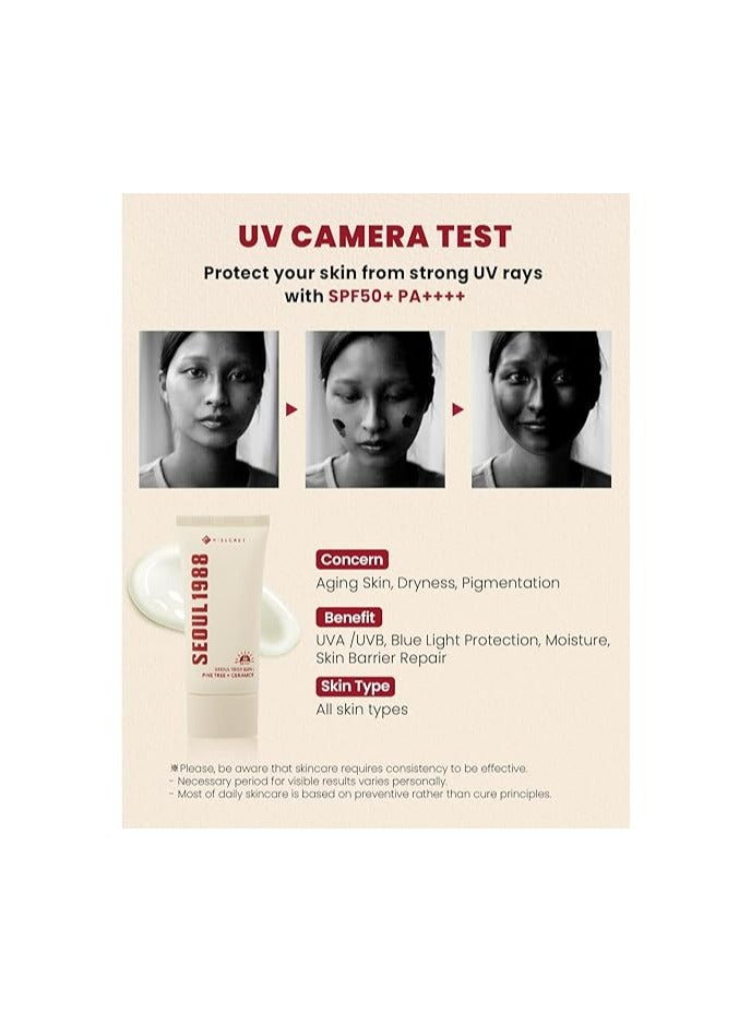 K-SECRET KSECRET - سيول 1988 شمس: شجرة الصنوبر + سيراميد - Image 3