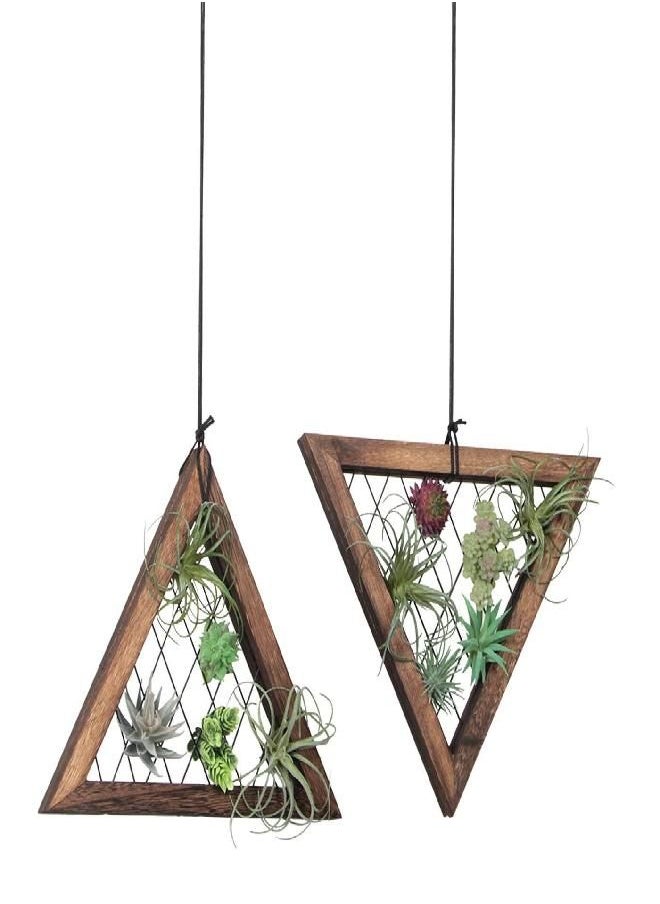 J JACKCUBE DESIGN - J JACKCUBE DESIGN Air Plant Triangle Frame Hanging Airplant Holder, Rustic Wood Tillandsia, Succulent Plants Display Hanger Shelf for Wall Décor, Set of 2- MK1061A - Image 1