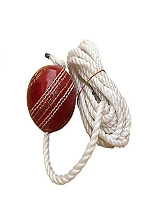 New Trend Leather Cricket Shot Practice String Hanging Ball, Red - Image 1