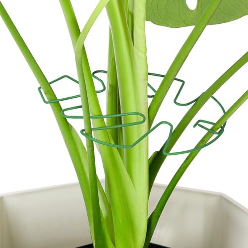 Yeomant 6PCS Iron Monstera Plant Support, Uniquely Designed Indoor Plant Accessories, Stable Plant Support Stakes for Indoor Plant, Turtle Shell Bamboo Clamp Set for Thriving Growth - Image 1