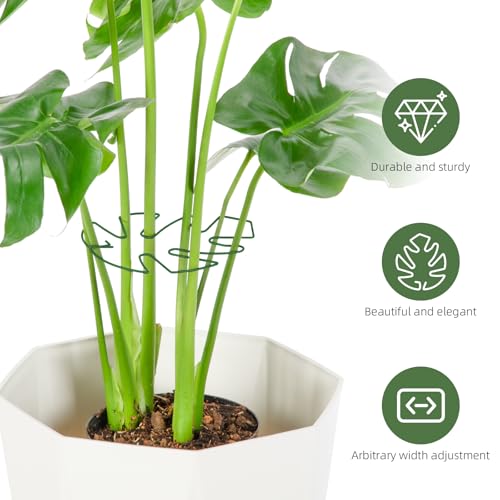 Yeomant 6PCS Iron Monstera Plant Support, Uniquely Designed Indoor Plant Accessories, Stable Plant Support Stakes for Indoor Plant, Turtle Shell Bamboo Clamp Set for Thriving Growth - Image 4