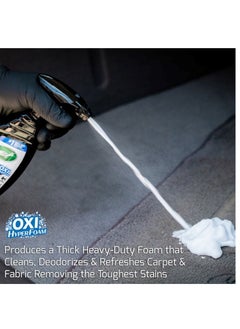TurtleWax Spot Clean & Odor Remover  - Image 4