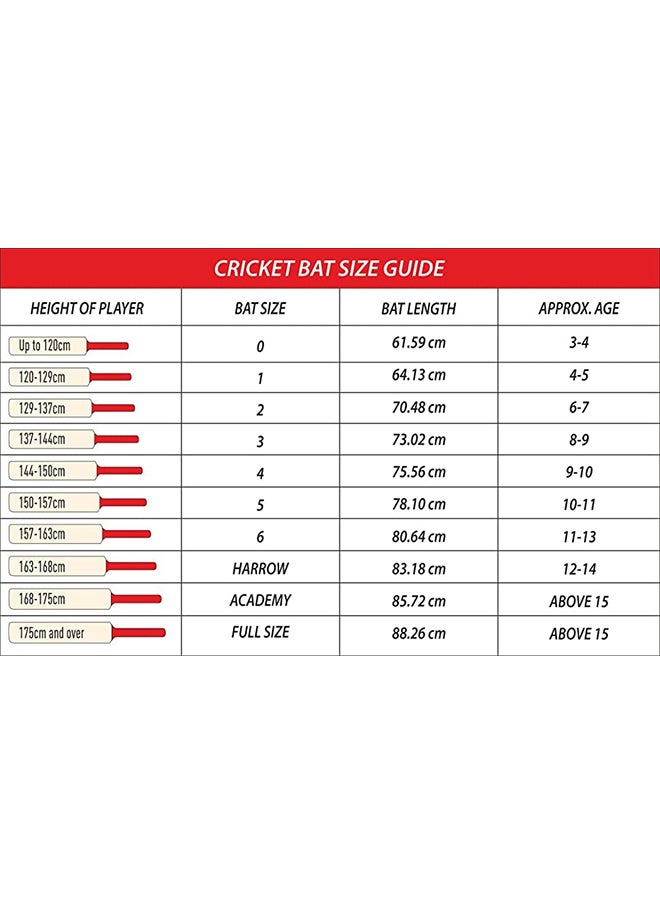 DSC - Wildfire Blaze Kashmir Willow Cricket Bat,Size: 6 - Image 1