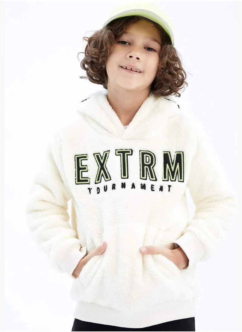 DeFacto Boy Hooded Long Sleeve Knitted Sweatshirt