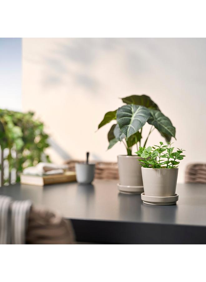 Zaboon Artificial Potted Plant, In/Outdoor Mint, 9 Cm - Image 3