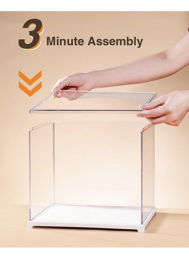 Rolife - Clear Acrylic Display Case For Hobby Collectibles, Easy Assemble Dust Cover Showcase Clear Storage Bins, Stackable Storage Plastic Box With Wooden Base - Image 1