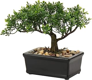 Briful Artificial Bonsai Tree Juniper Faux Plants Indoor Small Fake Plants Decor with Ceramic Pots for Home Table - Image 1