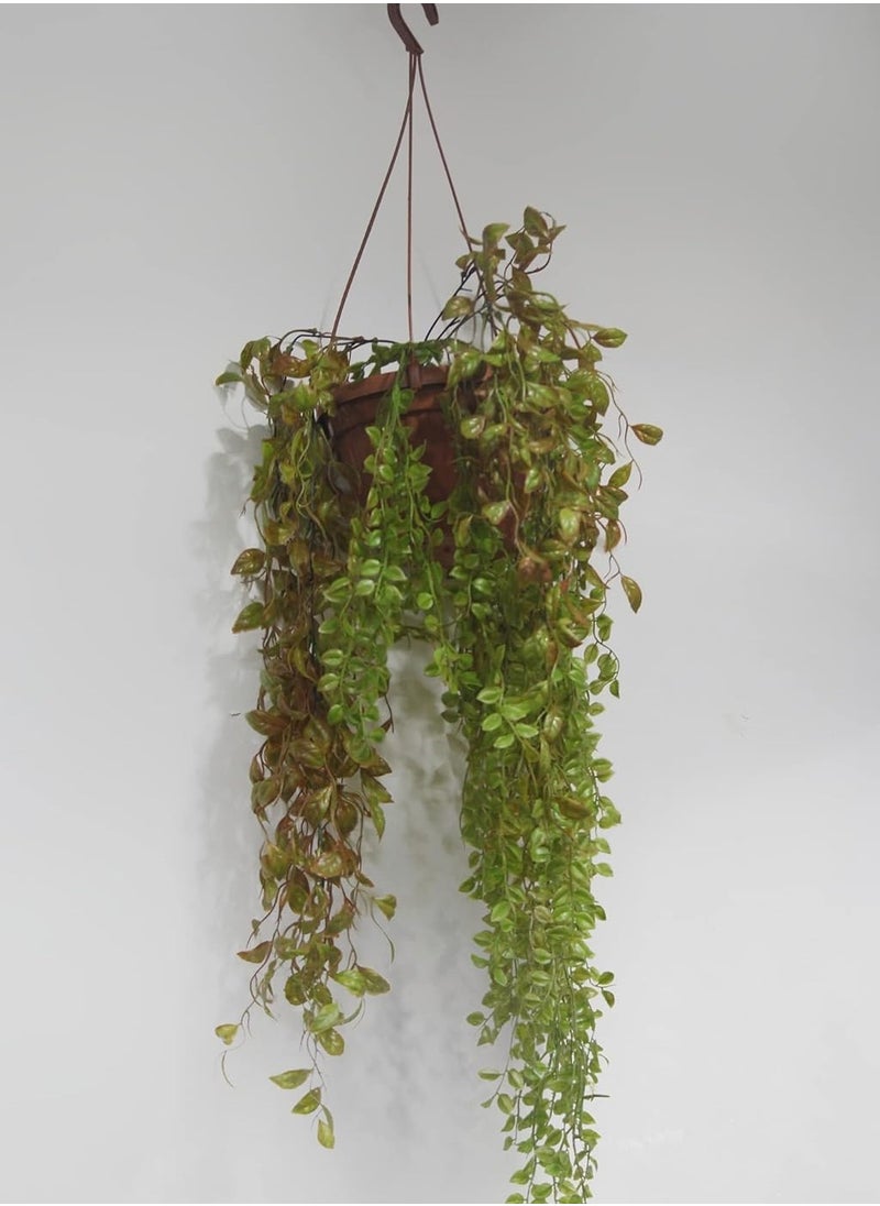 Generic Green wavy branches 