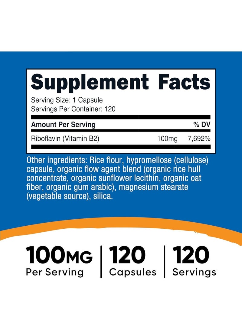 Nutricost Vitamin B2 (Riboflavin) 100mg, 120 Capsules - Gluten Free and Non-GMO - Image 3