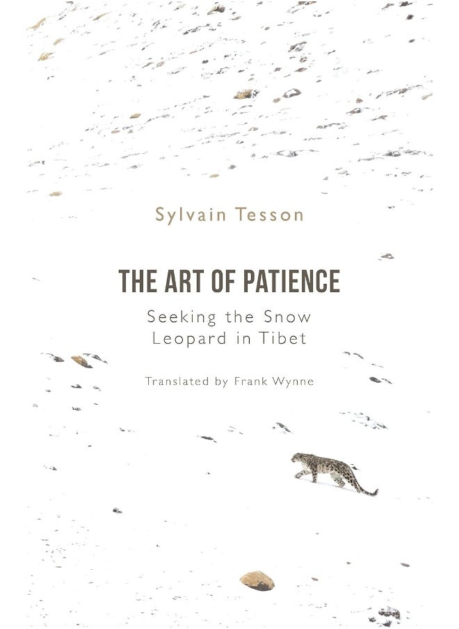 The Art of Patience: Seeking the Snow Leopard in Tibet  - Image 2