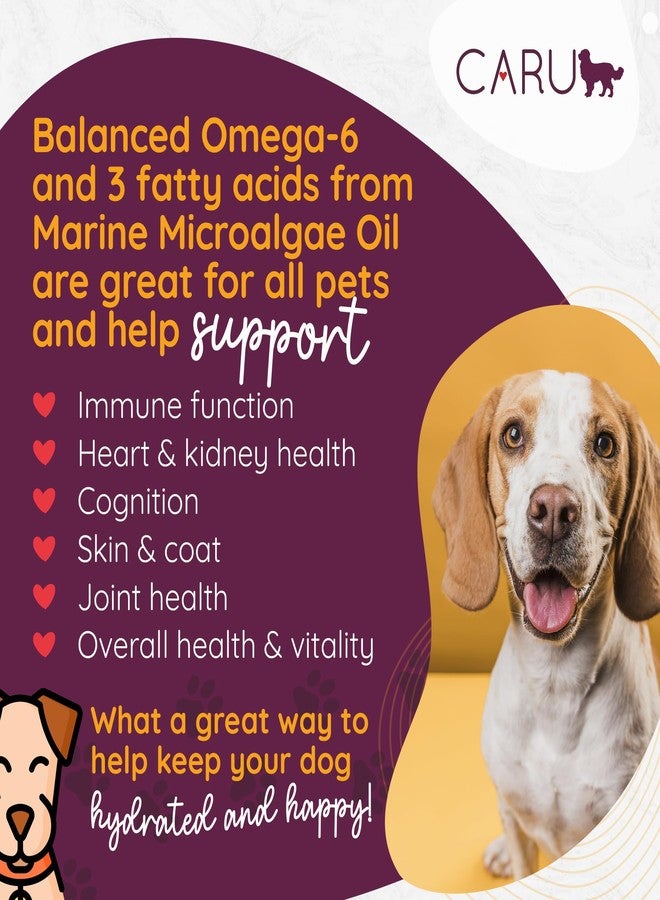 Caru Daily Dish Beef with Chicken Stew, Natural Adult Wet Dog Food with Added Vitamins & Minerals, Non-GMO Ingredients (12 oz) - 4 Pack - Image 2