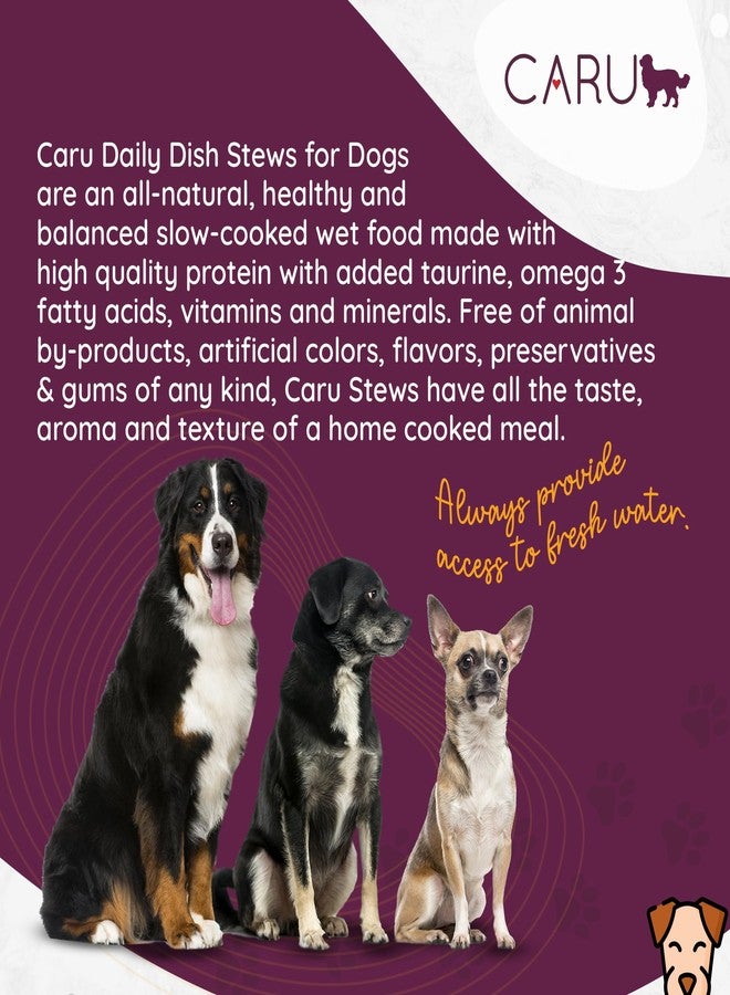 Caru Daily Dish Beef with Chicken Stew, Natural Adult Wet Dog Food with Added Vitamins & Minerals, Non-GMO Ingredients (12 oz) - 4 Pack - Image 4