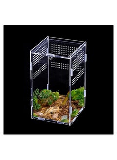 Reptile Feeding Box Terrarium Breeding Box Transparent Insect Habitat Terrarium Case for Spiderlings, Insect, Snail, Gecko, Bearded Dragon, Praying Mantis And Other Reptiles (12x12x20cm)