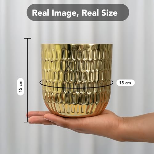 Ekhasa Nostrae by Ekhasa Gold Metal Planter for Indoor Plants | Decorative Metal Pot for Home Decor | Elegant Golden Planter & Metal Flower Pot | Designer Brass-Look Planter for Living Room & Tabletop - Image 3