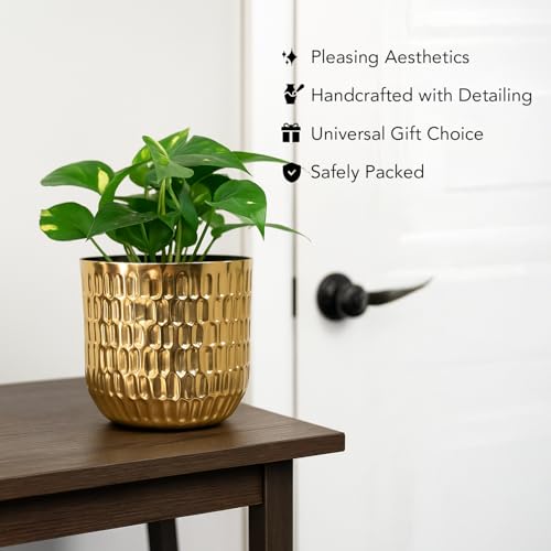 Ekhasa Nostrae by Ekhasa Gold Metal Planter for Indoor Plants | Decorative Metal Pot for Home Decor | Elegant Golden Planter & Metal Flower Pot | Designer Brass-Look Planter for Living Room & Tabletop - Image 5